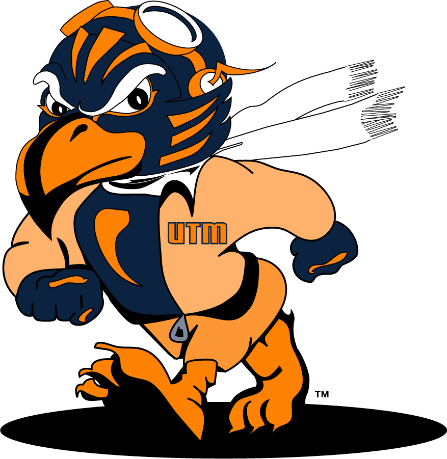 Tennessee-Martin Skyhawks 2007-2020 Mascot Logo v2 iron on transfers for clothing